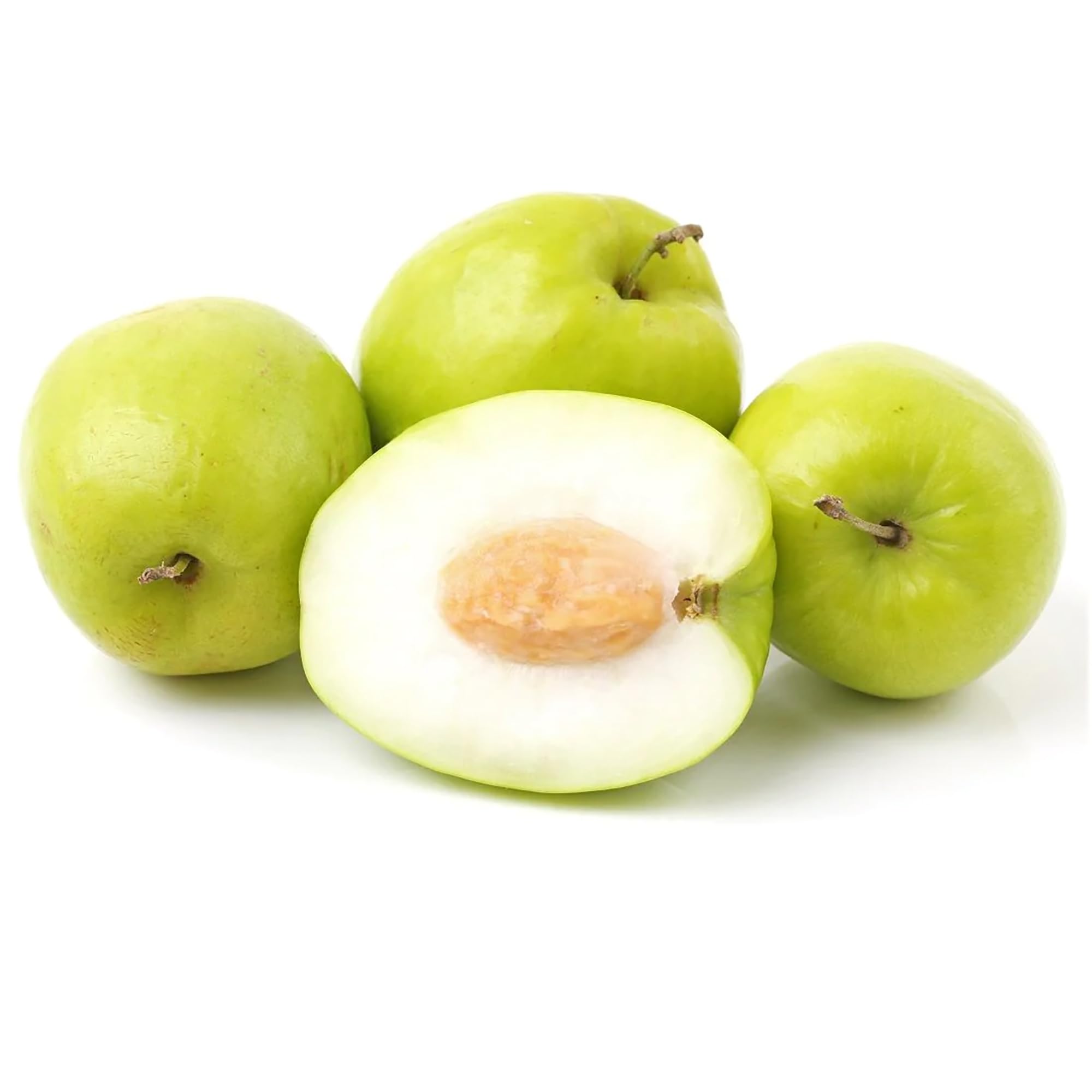 Amazon.com : QAUZUY GARDEN 20 Green Giant Sweet Jujube Fruit Seeds